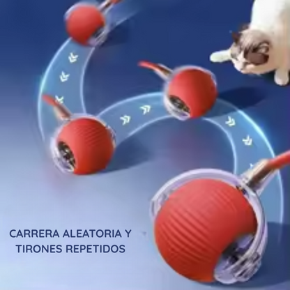 SmartPet Ball