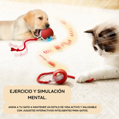 SmartPet Ball