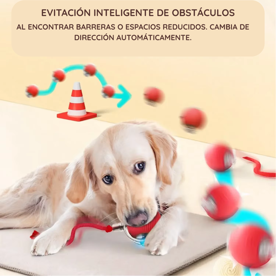 SmartPet Ball