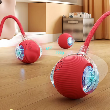 SmartPet Ball