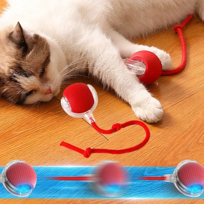 SmartPet Ball