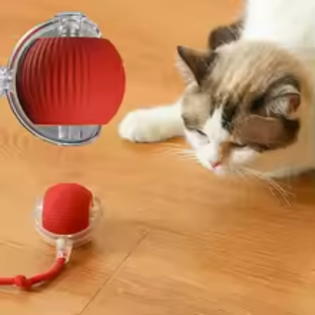 SmartPet Ball