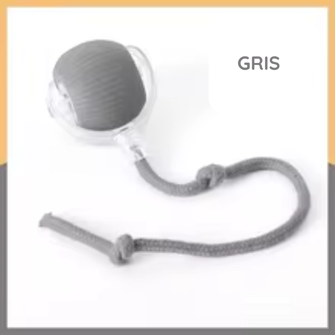 SmartPet Ball